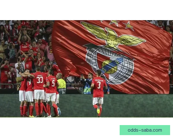 世界杯竞猜热潮席卷全球 揭秘投注策略与成功之道