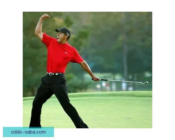 刹不住的泰格·伍兹与口袋里的两粒药丸的背后故事